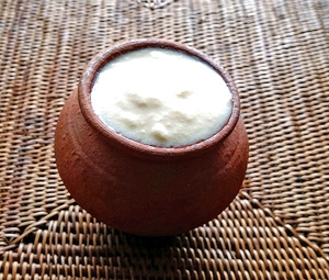 dahi